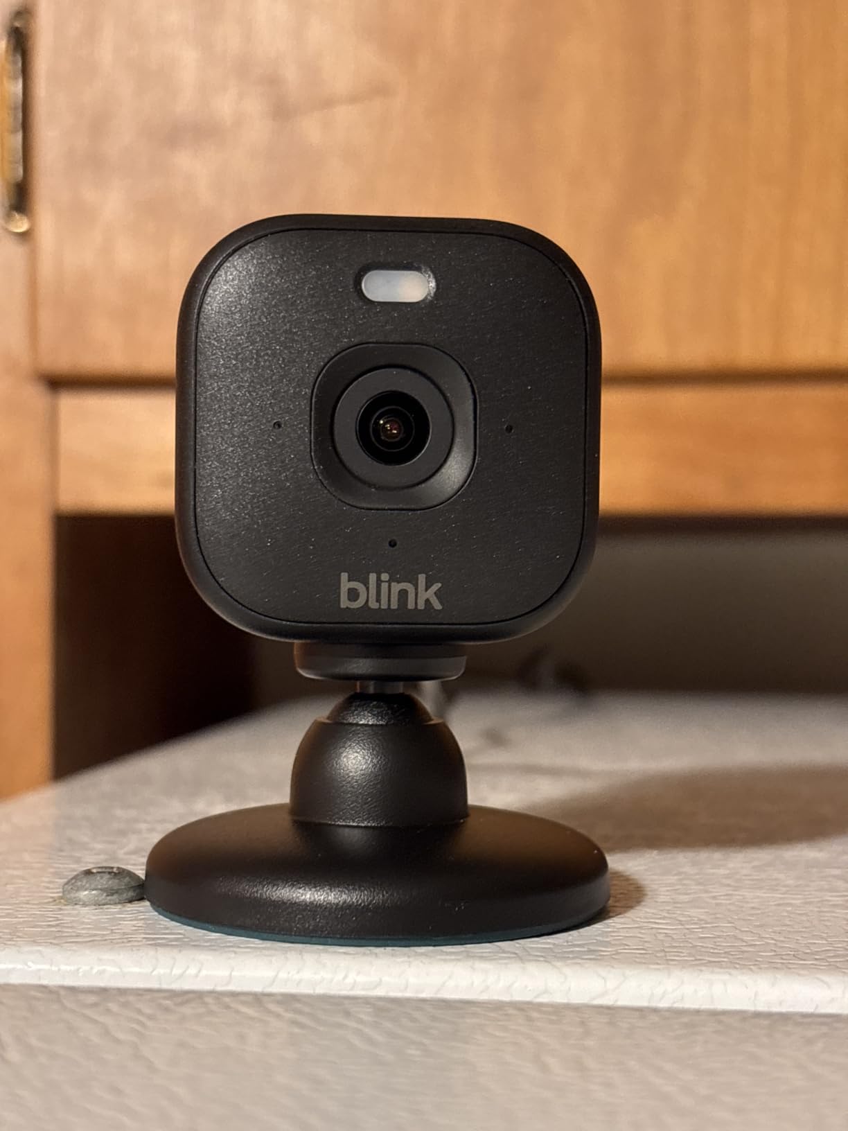 Blink Mini 2K+ (2-Pack) customer photo 1