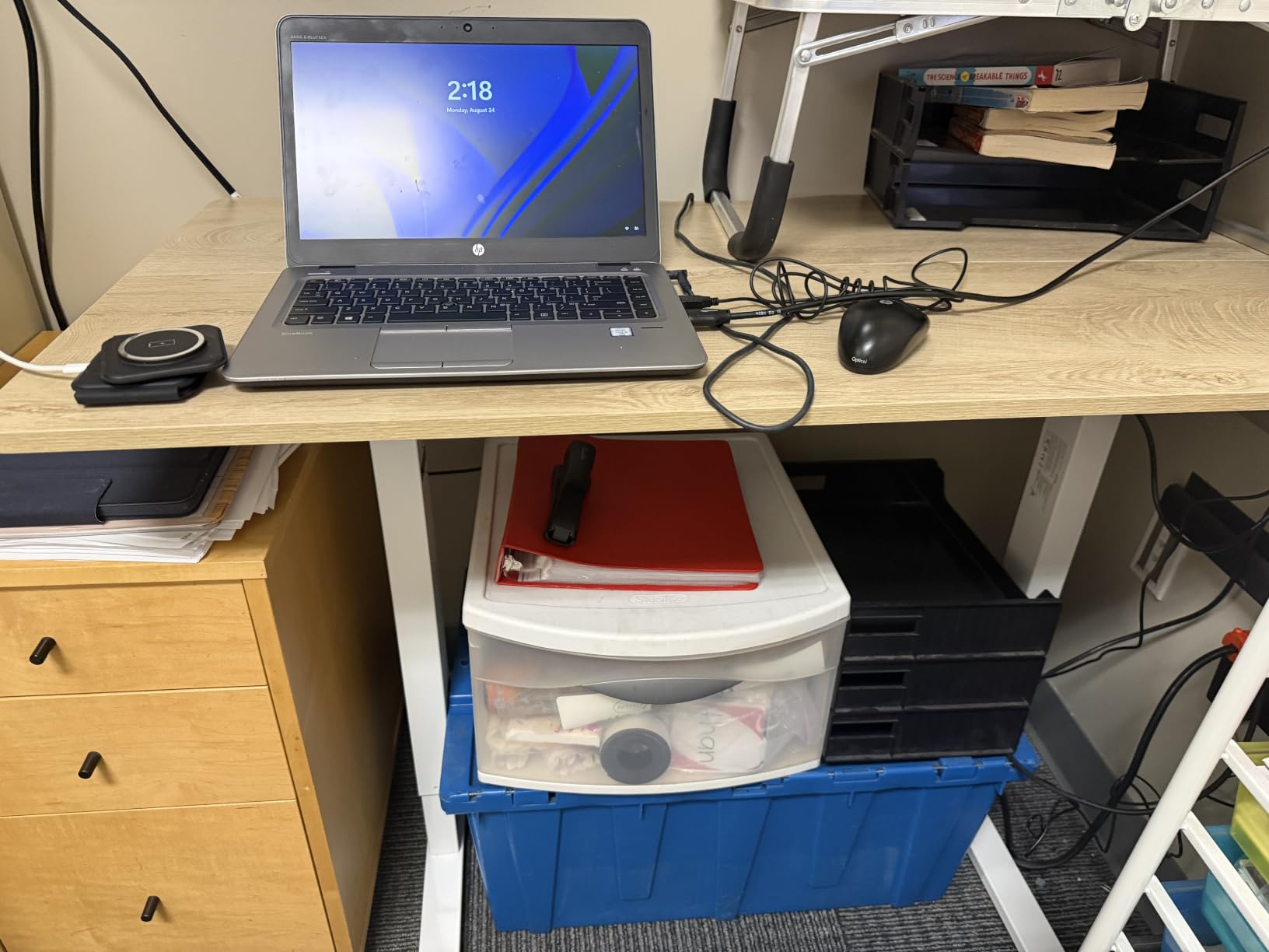 FEZIBO Standing Desk 48 × 24 Inch Electric Height Adjustable, Maple customer photo 2