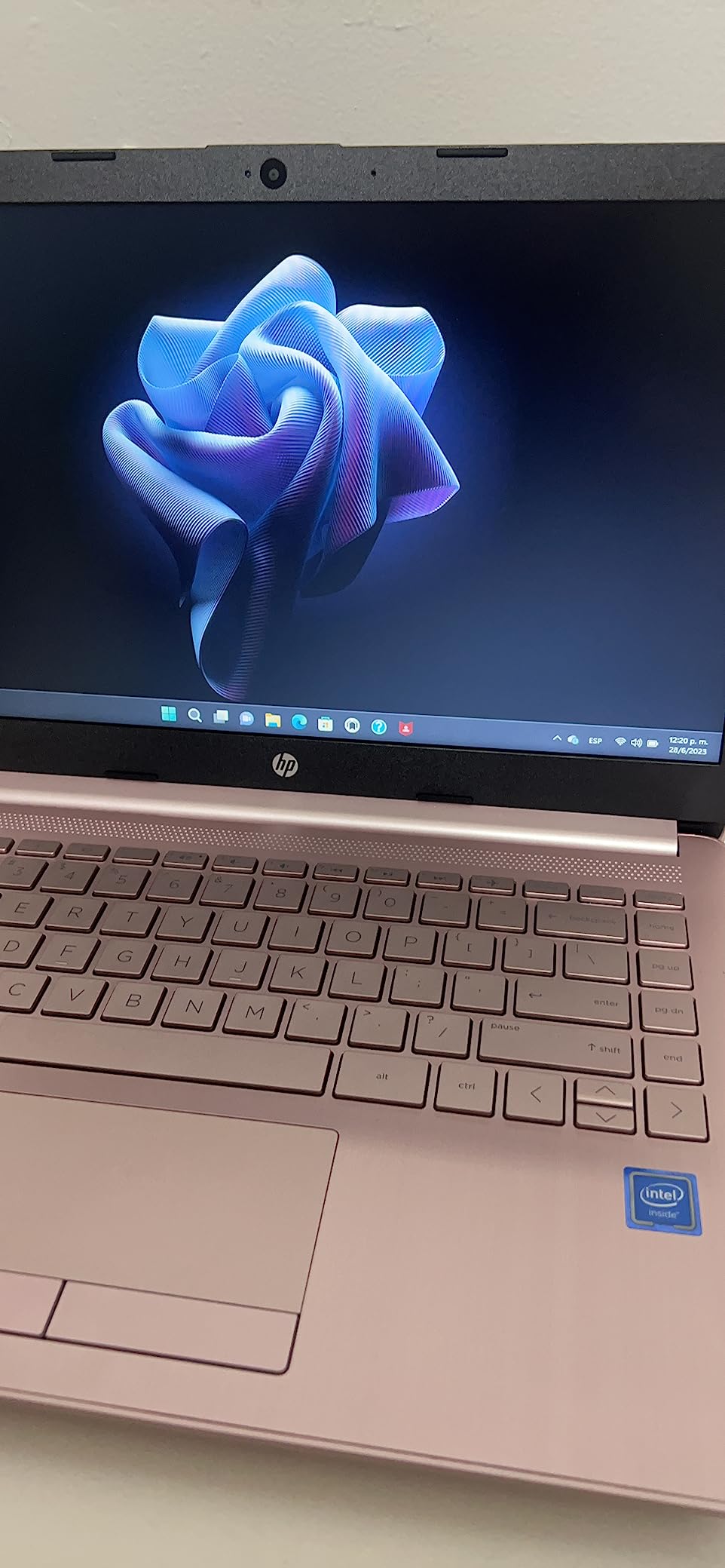 HP 2026 Essential Laptop, Intel Processor, 128GB Storage, Windows 11 customer photo 2